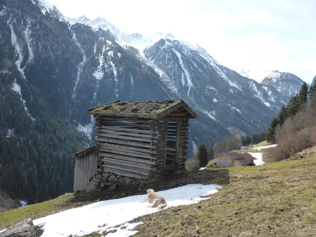 Pension Steinadler Neustift im Stubaital Buitenkant foto